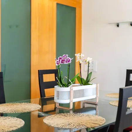 Apartment Newly Remodeled 2bd Brilliant Oura Strip 9min Albufeira